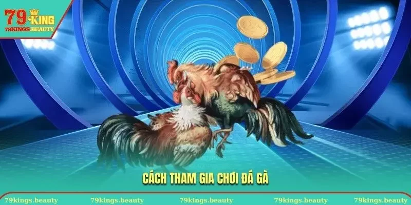 Cách chơi đá gà cựa sắt tại 79KING chi tiết nhất